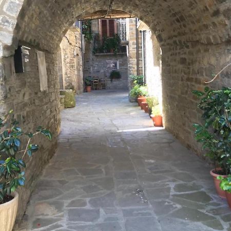 Casa Encuentra, En El Pirineo Al Lado De Ainsa Guest House El Pueyo de Araguas ภายนอก รูปภาพ