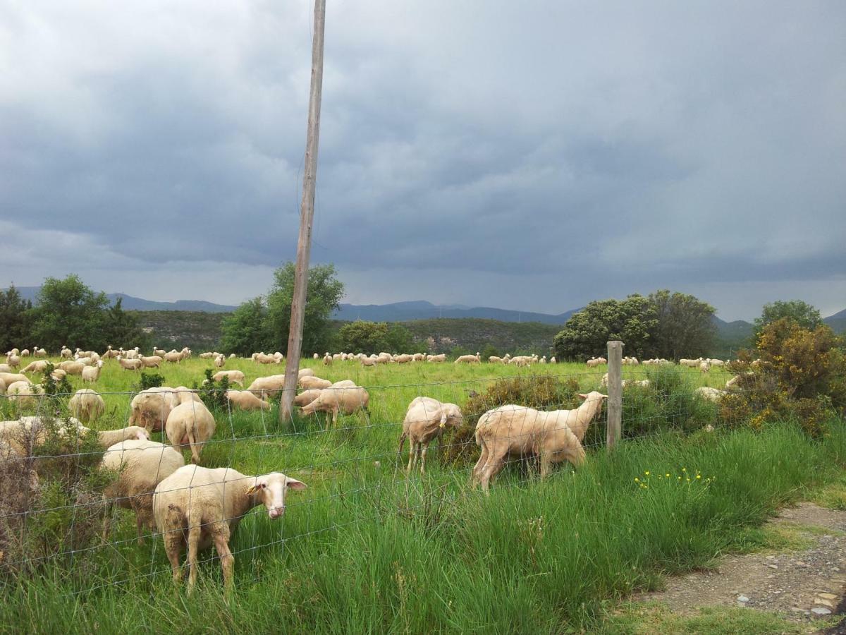 Casa Encuentra, En El Pirineo Al Lado De Ainsa Guest House El Pueyo de Araguas ภายนอก รูปภาพ